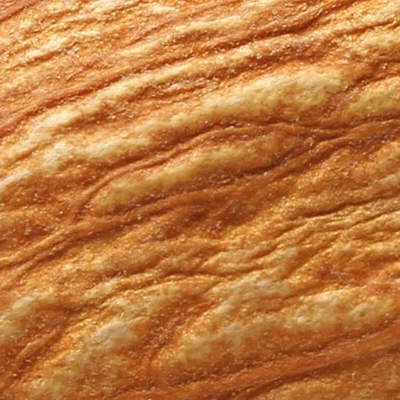 Biotina